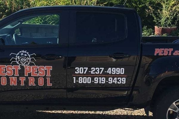 truck - Best Pest Control, Bozeman, Montana Have spiders made themselves at home Best Pest Control Bozeman Montana Page 8